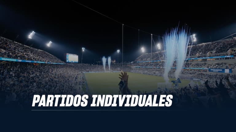 partidos individuales tile