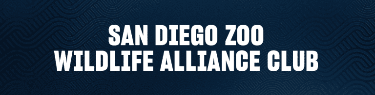 SDZWAClubBannerCW_1280x326